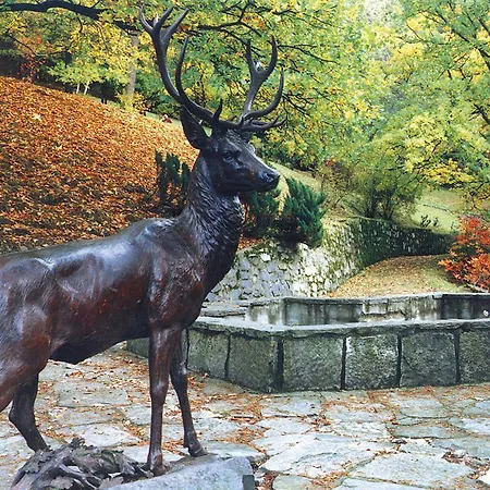 Parkhotel Richmond 4* Karlovy Vary
